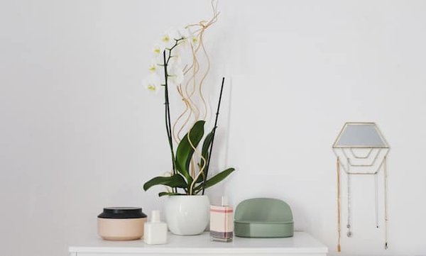 Comment intégrer le Feng Shui dans son habitat ?